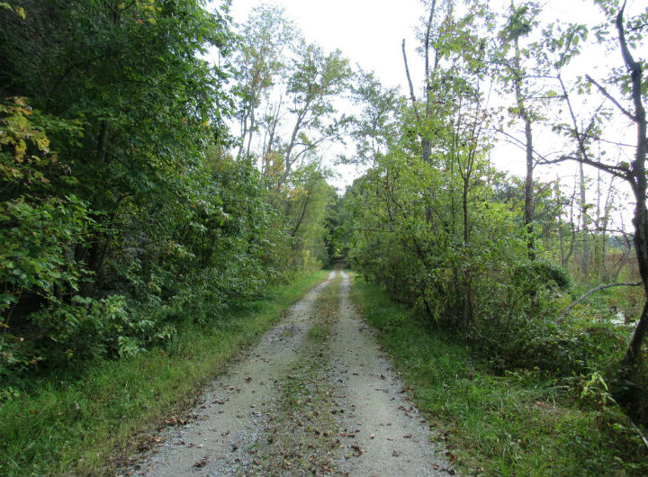 Snake Road